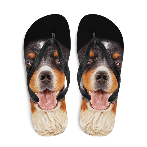 Bernese Montain Dog Flip-Flops by Design Express