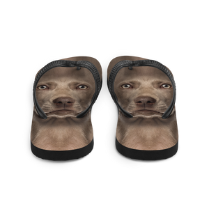 Weimaraner Dog Flip-Flops by Design Express