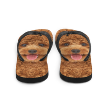 Poodle Dog Flip-Flops by Design Express