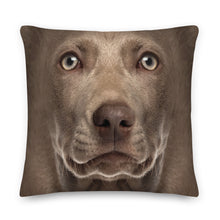 Weimaraner Dog Premium Pillow by Design Express