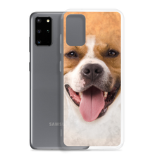 Pit Bull Dog Samsung Case by Design Express