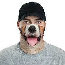 Default Title Border Collie Dog with Tongue Neck Gaiter Masks by Design Express