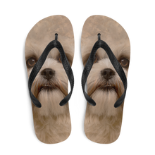 Shih Tzu Dog Flip-Flops by Design Express