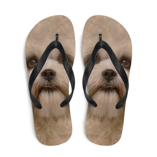 Shih Tzu Dog Flip-Flops by Design Express