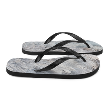 Ostrich Feathers Flip-Flops by Design Express