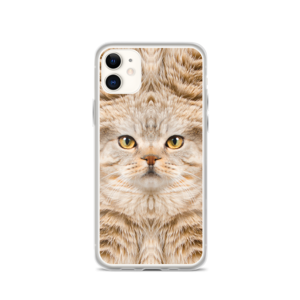 iPhone 11 Scottish Fold Cat 