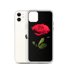 Red Rose on Black iPhone Case by Design Express