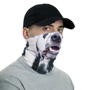Dalmatian Dog Neck Gaiter Masks by Design Express