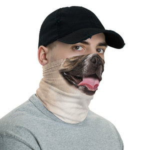 French Bulldog Neck Gaiter Masks by Design Express