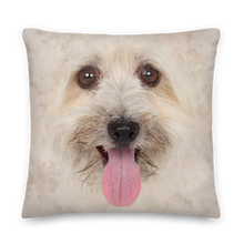 22×22 Bichon Havanese Dog Premium Pillow by Design Express
