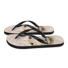 White Lion Flip-Flops by Design Express