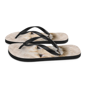 White Lion Flip-Flops by Design Express