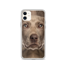 iPhone 11 Weimaraner Dog iPhone Case by Design Express