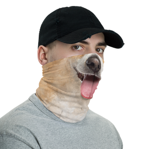 Jack Russell Terrier Dog Neck Gaiter Masks by Design Express