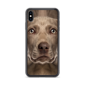 iPhone XS Max Weimaraner Dog iPhone Case by Design Express