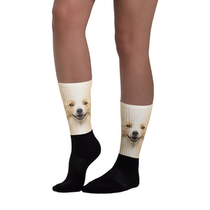 Border Collie "All Over Animal" Socks by Design Express