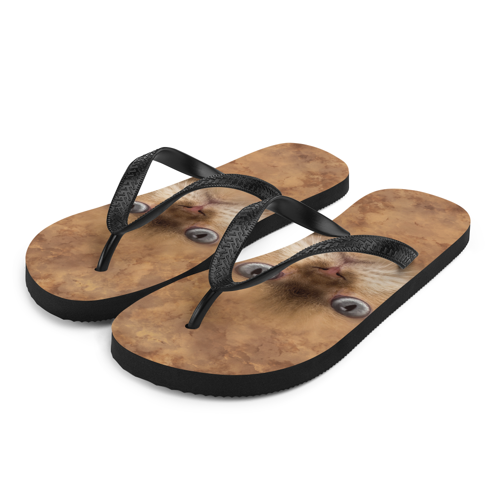 S British Cat Flip-Flops by Design Express