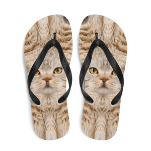Scottish Fold Cat "Hazel" Flip-Flops by Design Express