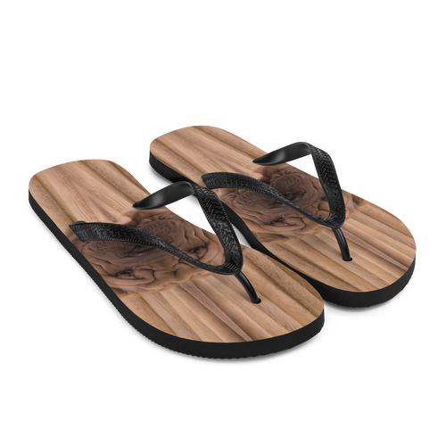 Shar Pei Dog Flip-Flops by Design Express