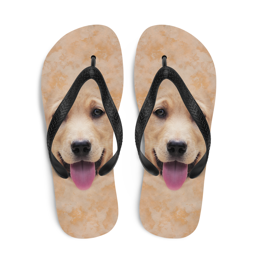 Labrador best sale flip flops