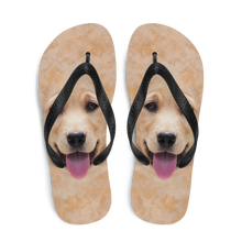 Yellow Labrador Dog Flip-Flops by Design Express