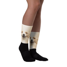 M Border Collie "All Over Animal" Socks by Design Express