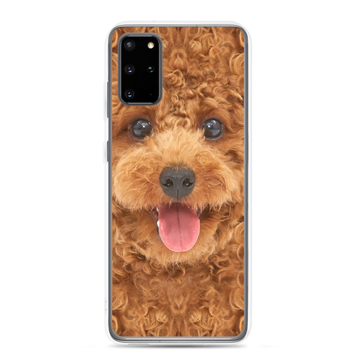 Samsung Galaxy S20 Plus Poodle Dog Samsung Case by Design Express