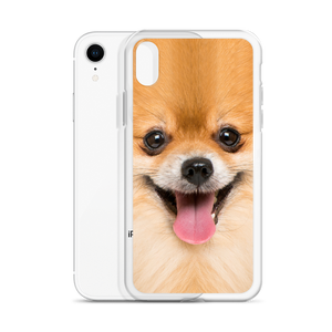 Pomeranian Dog iPhone Case by Design Express