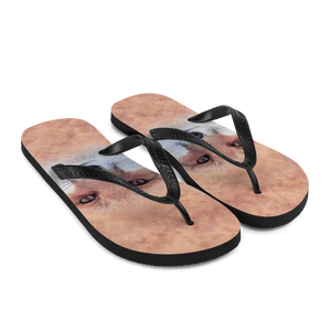 Red Fox Flip-Flops by Design Express