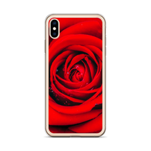 Fresh Red Rose iPhone Case by Design Express