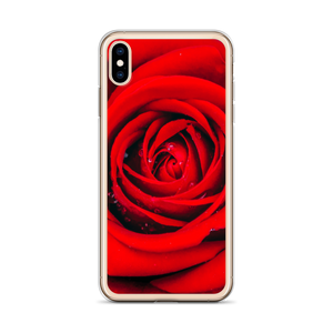 Fresh Red Rose iPhone Case by Design Express