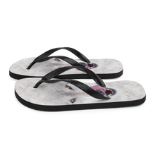 Wolf Flip-Flops by Design Express