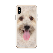 Bichon Havanese Dog iPhone Case by Design Express