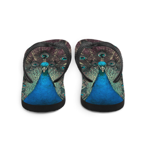 Peacock Flip-Flops by Design Express