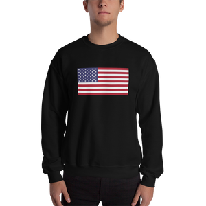 Black / S United States Flag "Solo" Sweatshirt by Design Express