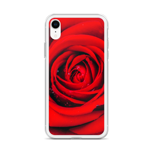 Fresh Red Rose iPhone Case by Design Express