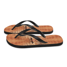 Persian Cat Flip-Flops by Design Express