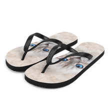 S Siberian Kitten Cat Flip-Flops by Design Express