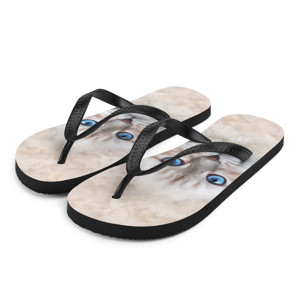 S Siberian Kitten Cat Flip-Flops by Design Express