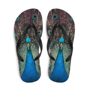 Peacock Flip-Flops by Design Express