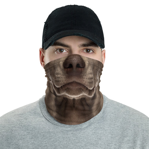 Default Title Weimaraner Dog Neck Gaiter Masks by Design Express