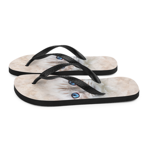 Siberian Kitten Cat Flip-Flops by Design Express