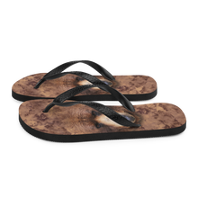 Grizzly Flip-Flops by Design Express