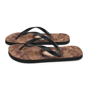 Grizzly Flip-Flops by Design Express