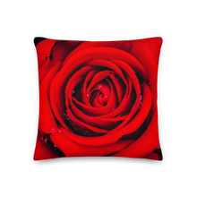 Fresh Red Rose Square Premium Pillow by Design Express