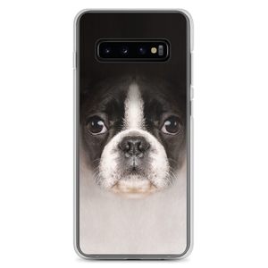 Samsung Galaxy S10+ Boston Terrier Dog Samsung Case by Design Express
