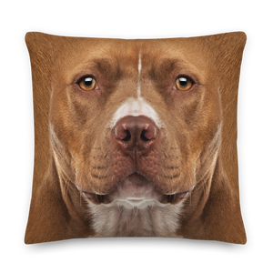 Staffordshire Bull Terrier Dog Premium Pillow by Design Express