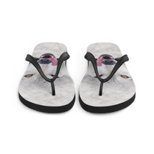 Wolf Flip-Flops by Design Express