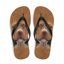 Staffordshire Bull Terrier Dog Flip-Flops by Design Express