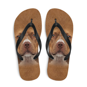 Staffordshire Bull Terrier Dog Flip-Flops by Design Express